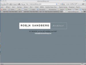 robynsandberg