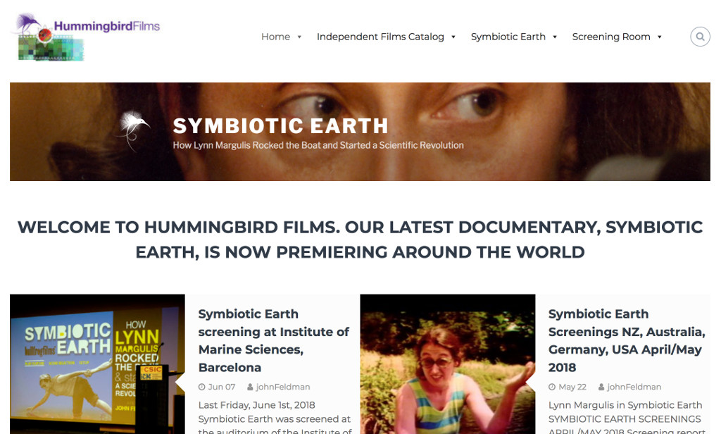 Hummingbird Films by Tom Stier